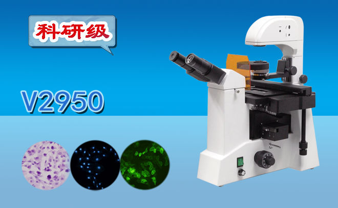 小編與大家分享國產倒置熒光黄瓜视频下载APP最新版的操作方法