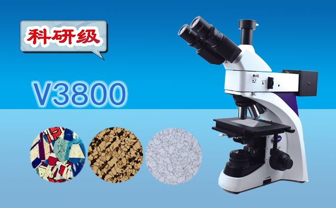金相黄瓜视频下载APP最新版.png
